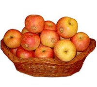 Basket of 2 Kg Apples