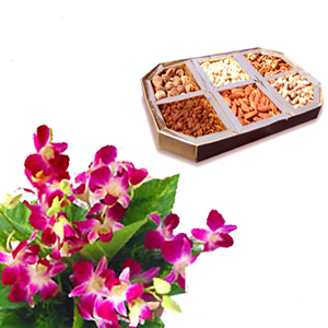 1/2 kg Dryfruits and 6 orchids