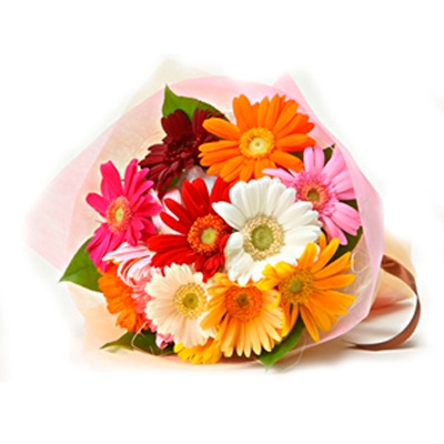 Gerberas Bouquet