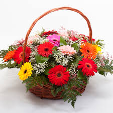 24 Gerberas Arrangement