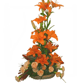Orange Orchids in a basket