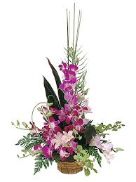 Exotic Basket of Orchids