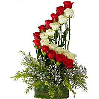 24 Red and white  Arrangement in row