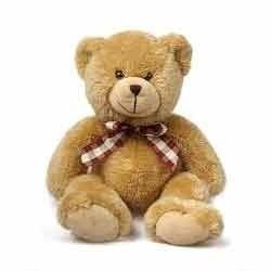 Teddy Bear Gift on Send Teddy Bears To India Gifts For Women Gifts For Men Buy Gift In