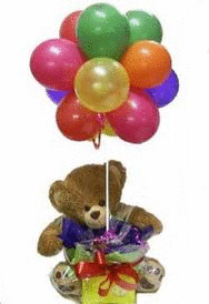 Teddy and 12 Mix color balloons