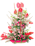 Large Arrangement of Anthurium, Roses and Carnations