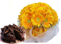 12 Yellow Gerberas Bunch+ 1/2 Kg Cake