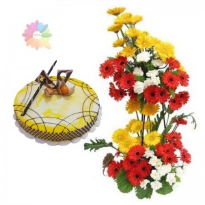 Gerberas on Stand+1/2 kg Cake