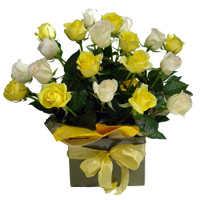 24 Yellow and White Roses Basket