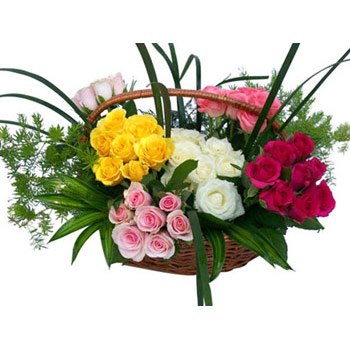 50Red+yellow+white+pink Roses Basket