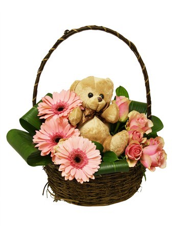Pink Teddy with Pink Gerberas in same basket