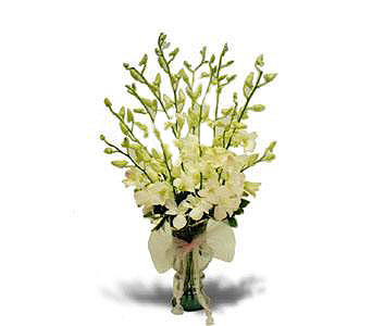 White Orchids Vase