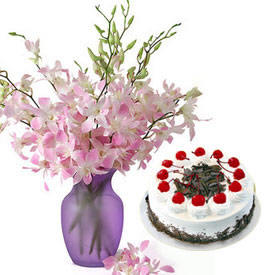 Orchids Vase+1/2 Kg Cake
