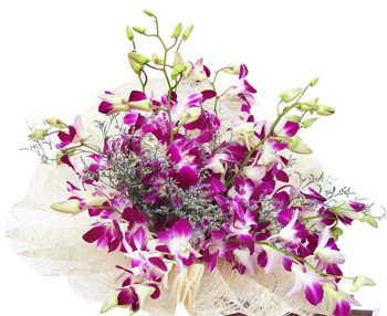 Orchids basket